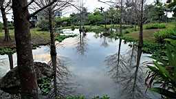 2016-04-10--02988.JPG