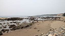 2016-04-10--03079.JPG