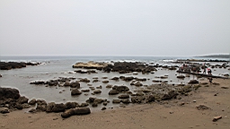 2016-04-10--03080.JPG