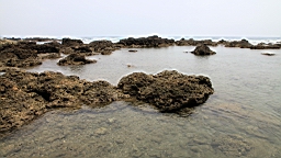 2016-04-10--03095.JPG