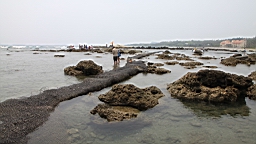 2016-04-10--03097.JPG