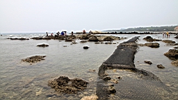 2016-04-10--03098.JPG