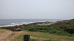 2016-04-10--03113.JPG