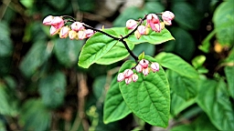 2016-04-10--03177.JPG
