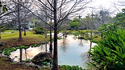 20160410_064929.jpg