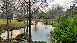 20160410_064955.jpg