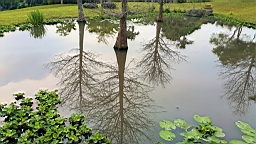 20160410_065233.jpg