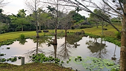 20160410_065309.jpg