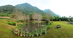 20160410_070015.jpg