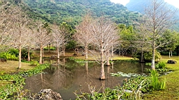 20160410_070057.jpg