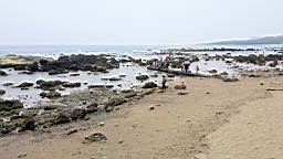 20160410_105236.jpg