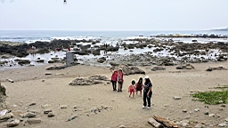 20160410_111004.jpg