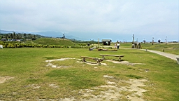 20160410_114954.jpg