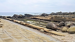 20160410_121027.jpg