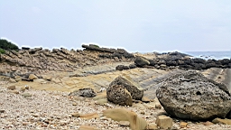 20160410_121031.jpg
