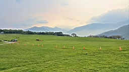 20160410_161449.jpg