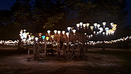 20160410_183125.jpg