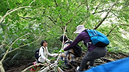 2016-04-11--03327.JPG
