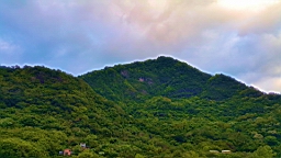 20160412_062317.jpg
