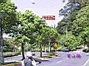 137-3716_IMG.JPG
