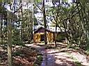137-3722_IMG.JPG