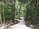 137-3725_IMG.JPG