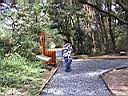137-3726_IMG.JPG