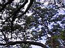 137-3727_IMG.JPG