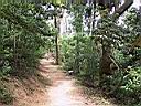 137-3729_IMG.JPG