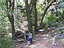 137-3731_IMG.JPG