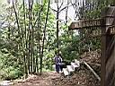 137-3732_IMG.JPG