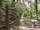 137-3733_IMG.JPG