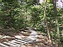 137-3735_IMG.JPG