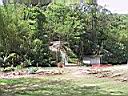 137-3736_IMG.JPG