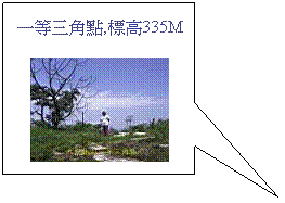 Rectangular Callout: 一等三角點,標高335M

