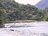 131-3118_IMG.JPG