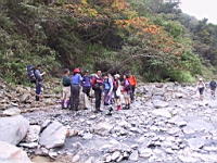 131-3145_IMG.JPG