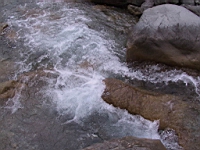131-3147_IMG.JPG