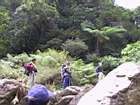 131-3157_IMG.JPG