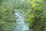 20010403004.JPG