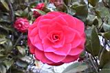 20010403007.JPG