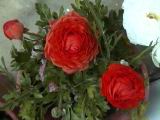 20010403010.JPG
