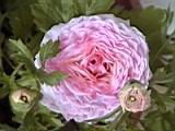 20010403011.JPG