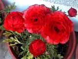 20010403012.JPG