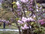 20010403014.JPG