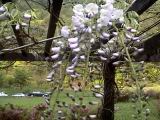20010403023.JPG