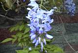 20010403024.JPG
