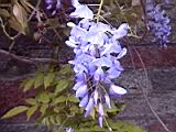 20010403025.JPG