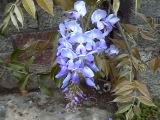 20010403026.JPG