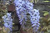 20010403027.JPG